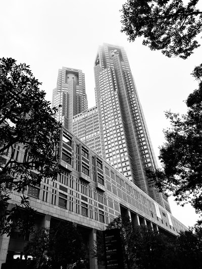 高层建筑的灰度照片
